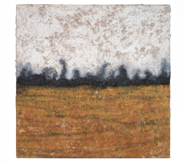 BOSCO SODI (Ciudad de México, México, 1970).  Sin título, 2003.   Óleo y materia sobre tela.