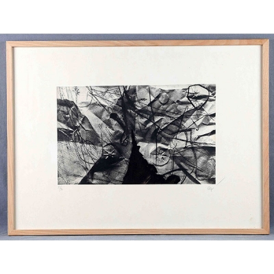 ANTONI CLAV&Eacute; LITOGRAFIA