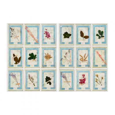 Pareja de antiguos herbarios italianos de nueve celdas con diferentes tipos de hojas y flores, ppios. del s.XX.