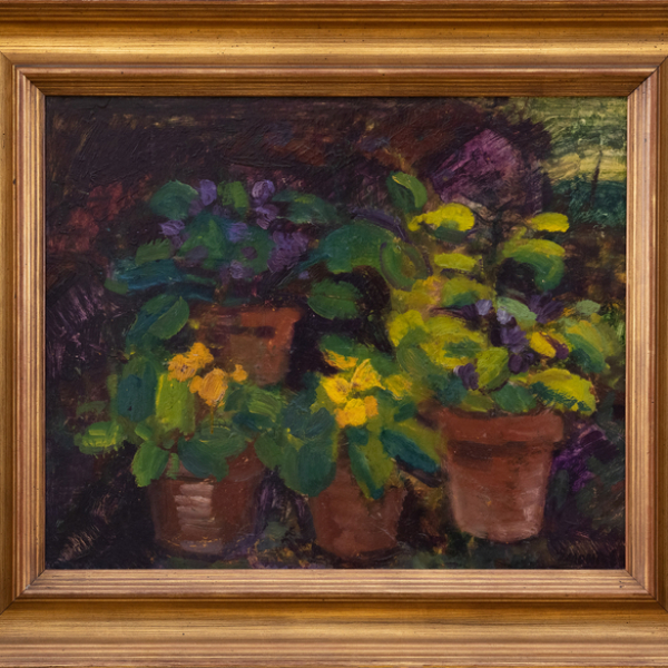 "Bodegón de macetas con plantas"  JESÚS MONTES IRIBARREN (Irún, 1940)