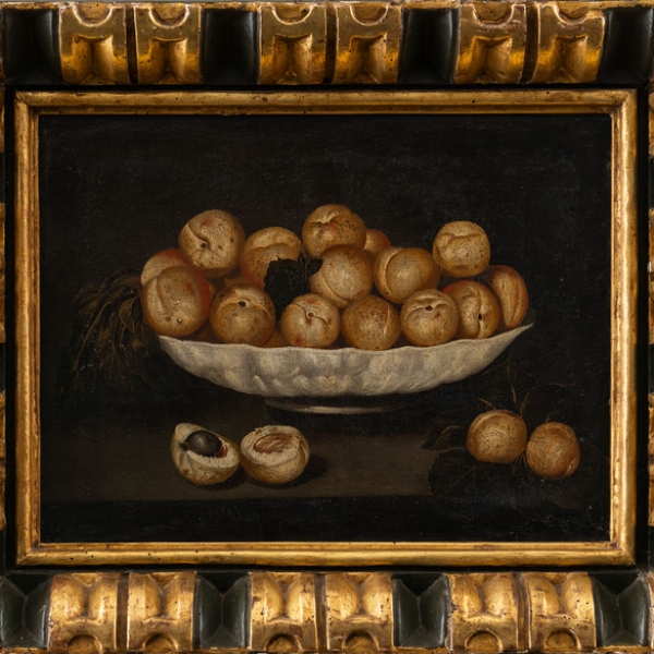 "Bodegón de Albaricoques"   ESCUELA ESPAÑOLA, Siglo XVII