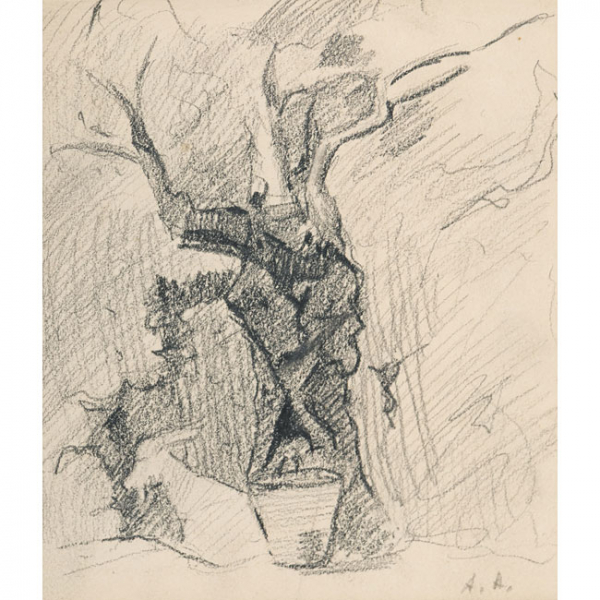 AURELIO ARTETA ERRASTI   (Bilbao 1879 - M&eacute;xico 1940)  "&Aacute;rbol y maceta "  Firmado: A. A.  Dibujo / Papel