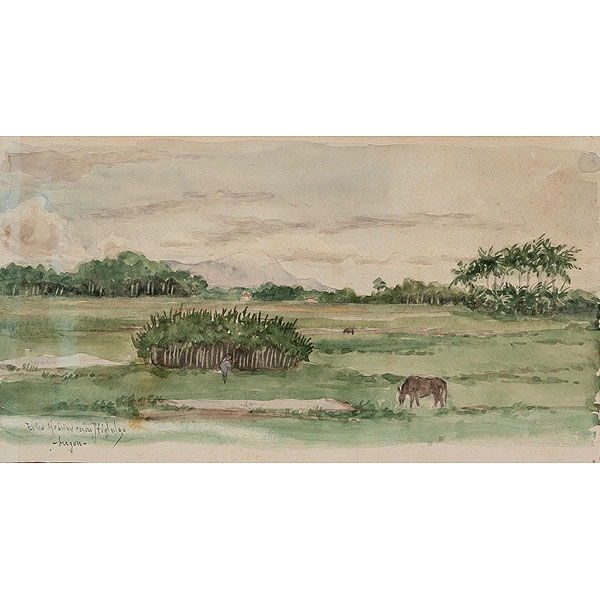 Felix Resurección Hidalgo Acuarela