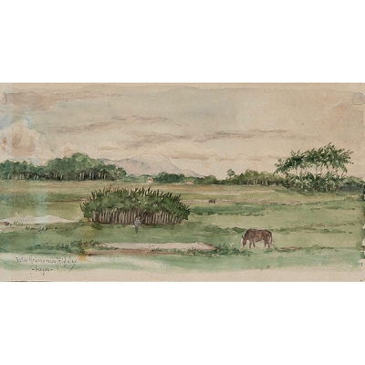 Felix Resurecci&oacute;n Hidalgo Acuarela