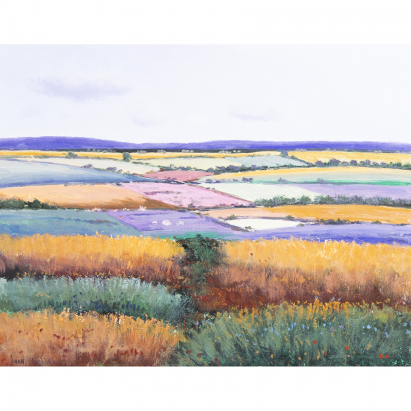 Juan Casellas (M&aacute;laga, 1957)  Paisaje con campos.  &Oacute;leo sobre tela. Firmado.