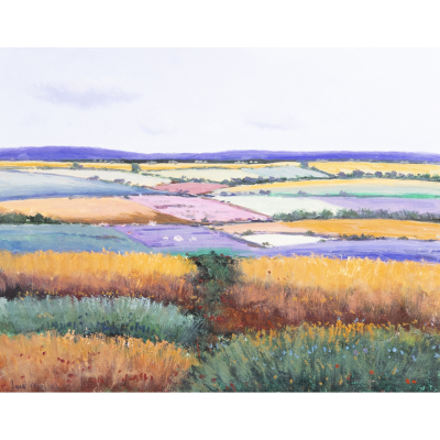 Juan Casellas (M&aacute;laga, 1957)  Paisaje con campos.  &Oacute;leo sobre tela. Firmado.