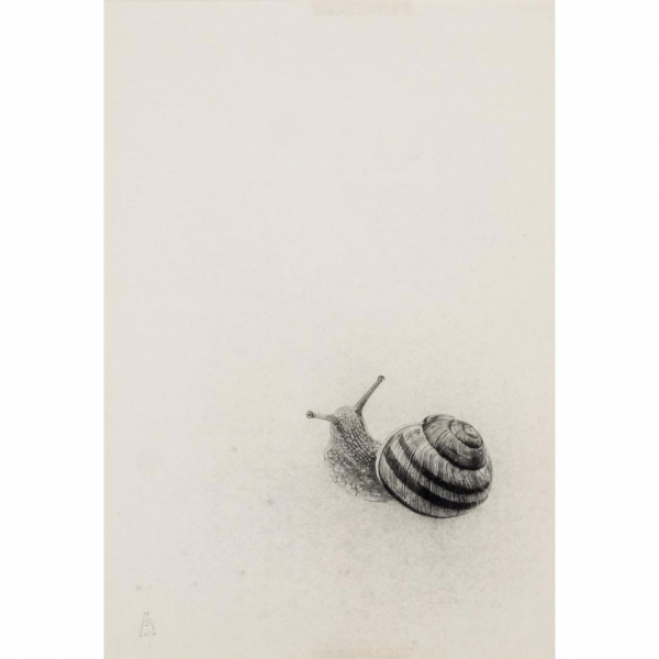 Marta de la Sota. "Caracol (2016)". Dibujo sobre papel. Firmado y fechado 