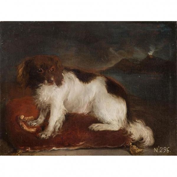 Esc. Española S. XVII-XVIII, atribuida a Diego Velázquez. "Perro sobre una almohada".