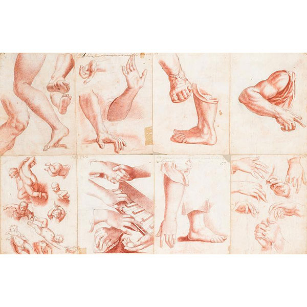 Escuela Portuguesa S. XIX.  "Estudios de anatomías". 