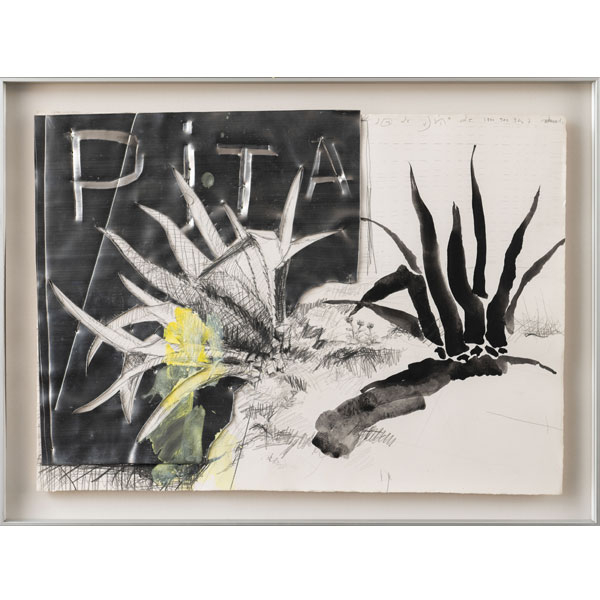 &quot;Pita&quot;  ANDRES NAGEL (San Sebastián, 1947)