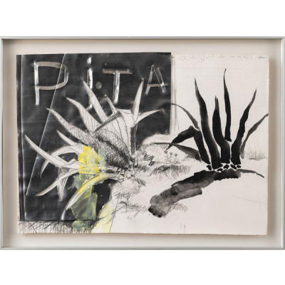 &quot;Pita&quot;  ANDRES NAGEL (San Sebastián, 1947)