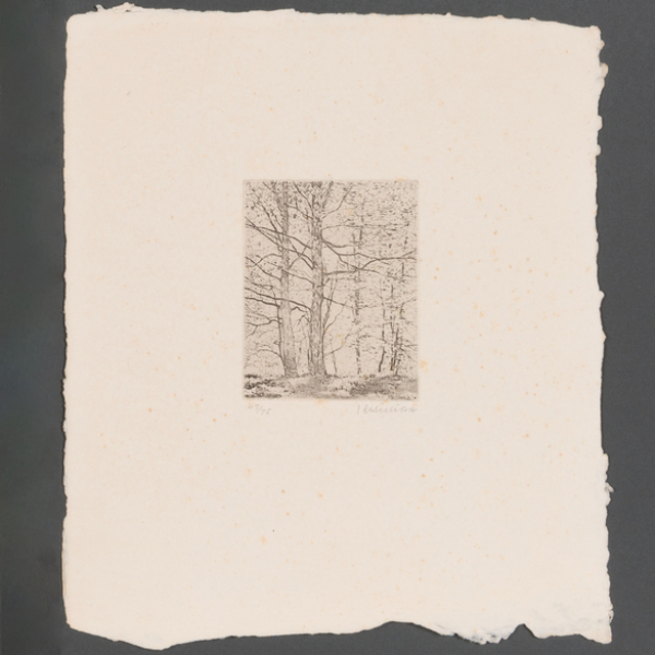 "Bosque"  Autoría: GONZALO CHILLIDA(San Sebastián, 1926-2008) 