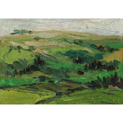 ESCUELA ESPA&Ntilde;OLA   (S. XX)  "Tierras verdes "  Firmado: Ilegible 72  &Oacute;leo / Lienzo  