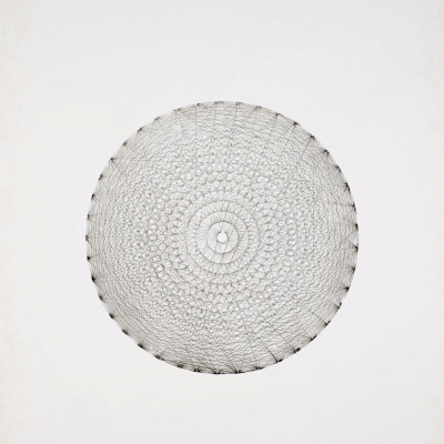 Elena Asins.   &quot;Estructura circular sobre Blanco (c.1969)&quot;. Acrílico y látex sobre tabla. Al dorso etiquetas de inventario.