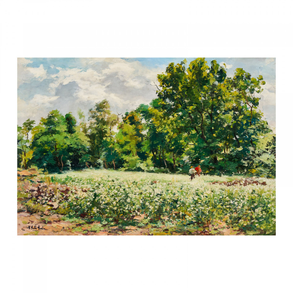 Vicenç Solé Jorba (Olot, Girona, 1904-El Brull del Montseny, Barcelona, 1946) Fajol, día de sol. Óleo sobre tela. Firmado.