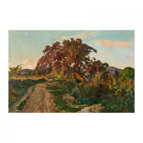 Joaquim Mir Trinxet (Barcelona, 1873-1940) Camino rural con árbol Óleo sobre tela. Firmado.  