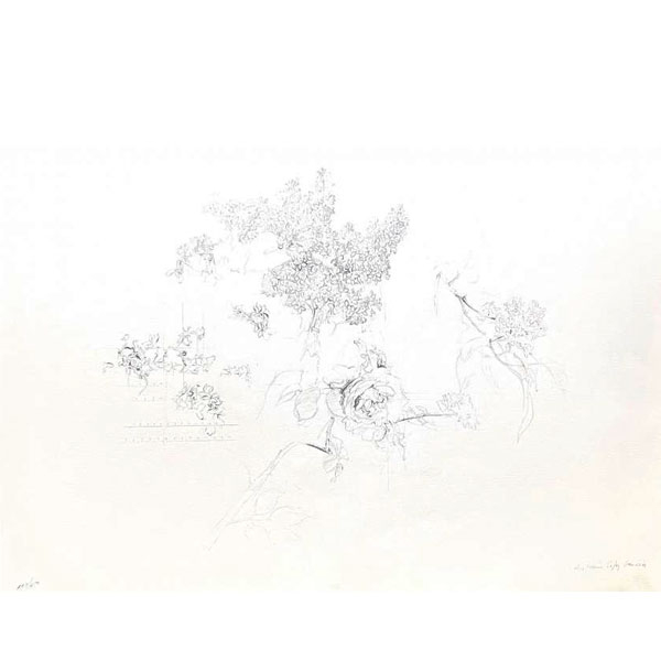 Antonio López (1936).  "Membrillos y Rosa - Suite Olympic Centennial (1992)". Litografía 