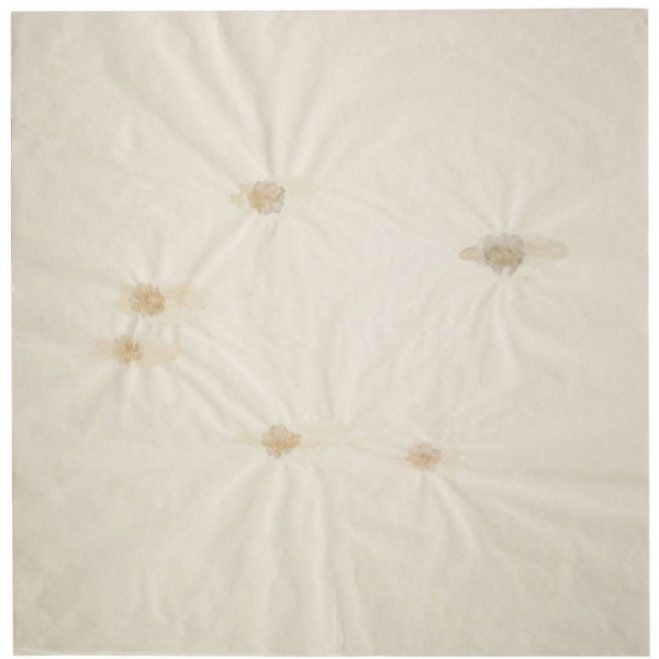 Jose Maria Sicilia. "En flor (2000)". T&eacute;cnica mixta sobre papel. Firmado 