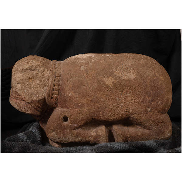 Raro Becerro en piedra calcaria tallada con restos de policromía de la escuela íbera, posiblemente siglo V, España