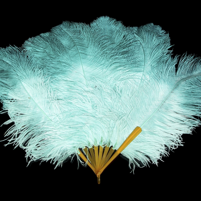 Abanico de plumas celestes, s. XX. 