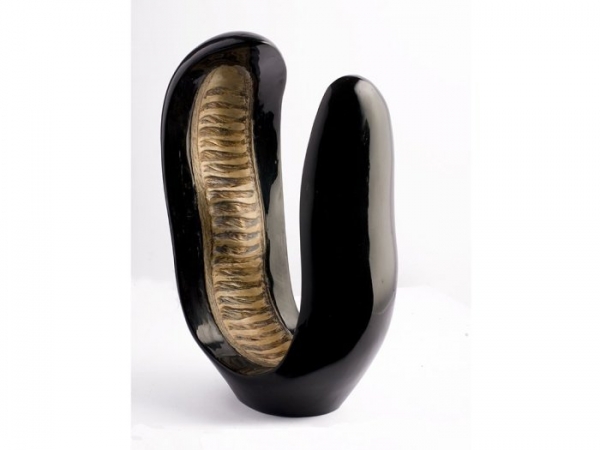 Carlos Angrigiani – Acacia negra I – Resina y vaina de acacia 